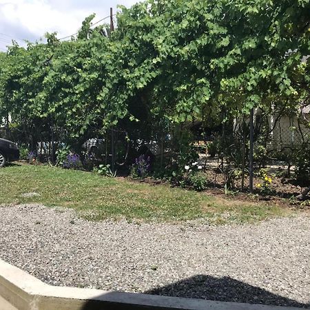 Гостевой Дом С Садом Hotel Gagra Esterno foto