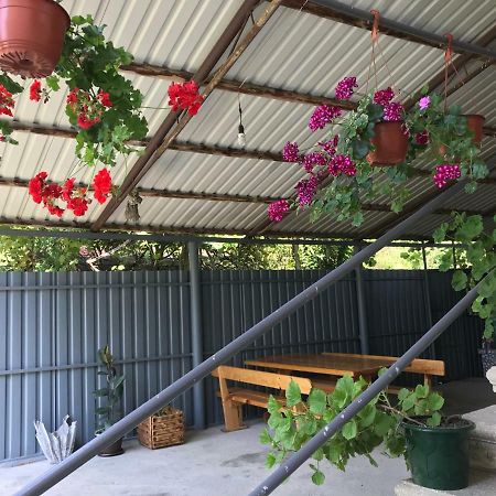 Гостевой Дом С Садом Hotel Gagra Esterno foto